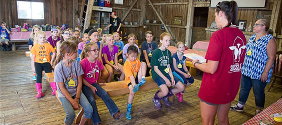 Dairy Discovery Dairy Discovery